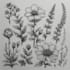 illustrate best botanical illustration