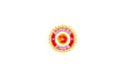 do dynamic delicious hard apple cider logo with solar power