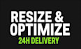 resize, convert and optimize 100 images for web or ecommerce