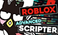 code professional roblox scripts for u
