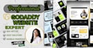 professional godaddy website for your business