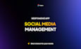 social media management on metricool