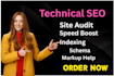 do technical SEO audit and fix indexing and crawlability issues