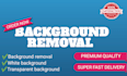 remove background from any images