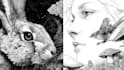 create hand drawn illustrations