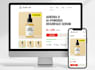 copy clone duplicate redesign or revamp shopify store design