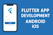 develop custom flutter app with clean ui