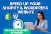 do premium shopify website page speed optimization speed up wordpress website