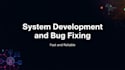 system development and bug fixing