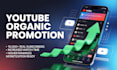 l help you monetize your youtube channel