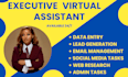 be your executive virtual assistant data entry personal assistant admin task