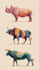 create realistic animal illustration