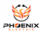 do professional falcon phoenix logo