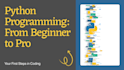 teach you elementary python programming with turtle
