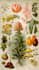create a beautiful vintage botanical illustration poster