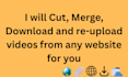 extract clips from videos from any platform for you