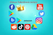 remove infringing  harassing defaming negative copyright leaked dmca post