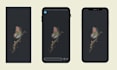 create custom notion cover, icons and doodle illustrations