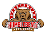 design professional bear logo