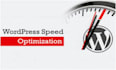 wordpress page speed optimization