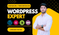 build professional wordpress website design and development