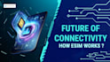 develop esim app, linphone app, voip app, esim website