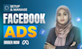 be your facebook ads campaign manager and fb ads campaign