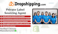 handle fulfillment, inspection and global shipping from china