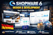 design and develop a professional shopware 6 store