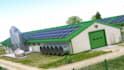 do 3d poultry design, farm house design, chicken barn, farm barn, livestock farm