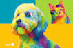 draw custom pet portrait in pop art style