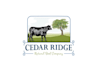 design high resolution animals beef company logo
