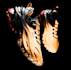 create 3d sneaker design for animation, 3d sneaker animation, custom shoe model