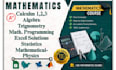 help in mathematics, statistics, programming, excel projects, mathematics course