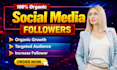 do increase social media followers organic instagram and tiktok growth