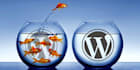 transferring a website to hosting or creating a backup copy
