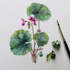 illustrate best botanical illustration
