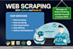 scrape any website using python web scraping