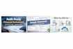 prepare professional financial statements