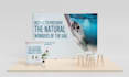 design creative trade show booth, backdrops, banner