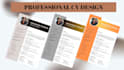 create modern CV resume for any job