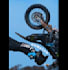 dynamic intro fx  social media anim