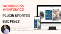 provide ongoing wordpress maintenance and bug fixes