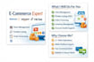 professionally manage your e commerce stores on walmart, amazon, ebay