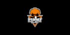 do classic e sport factory logo with appealing b2c gaming