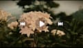 make the best cinematic video