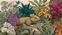 draw an animal and botanical illustration