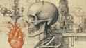 do medical, human anatomy and scientific illustrations