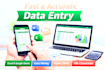 perfectly do basic data entry