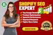 optimize shopify store with ecommerce SEO for higher rankings
